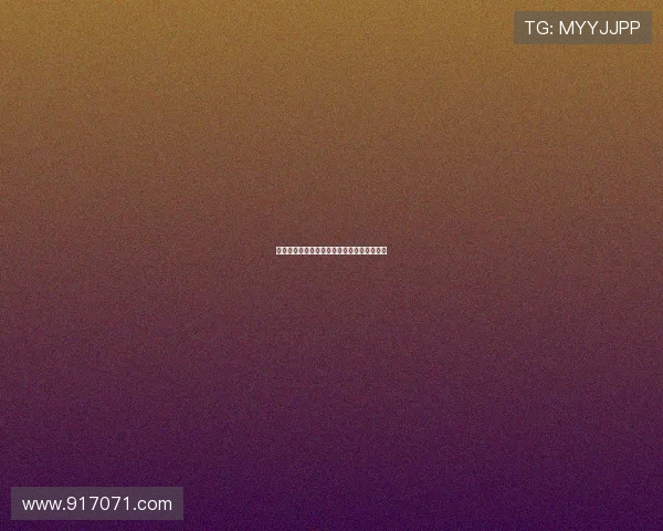 新宿天鹅：都市丛林中的生存法则与人间烟火